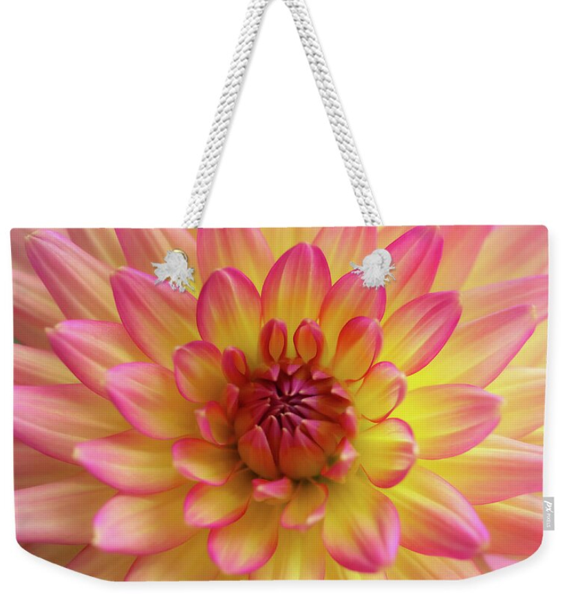 HurmerintaArt's tweet image. Fantastic weekender bags on my Pixels art shop. 
You can choose the design and the color of the handle.
A lovely gift idea too!

#largebags #artistmade #springbag 

johanna-hurmerinta.pixels.com/featured/brigh…