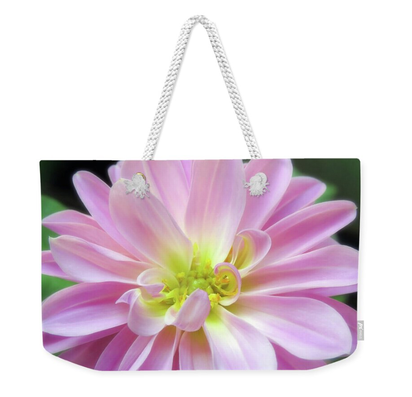 HurmerintaArt's tweet image. Fantastic weekender bags on my Pixels art shop. 
You can choose the design and the color of the handle.
A lovely gift idea too!

#largebags #artistmade #springbag 

johanna-hurmerinta.pixels.com/featured/brigh…