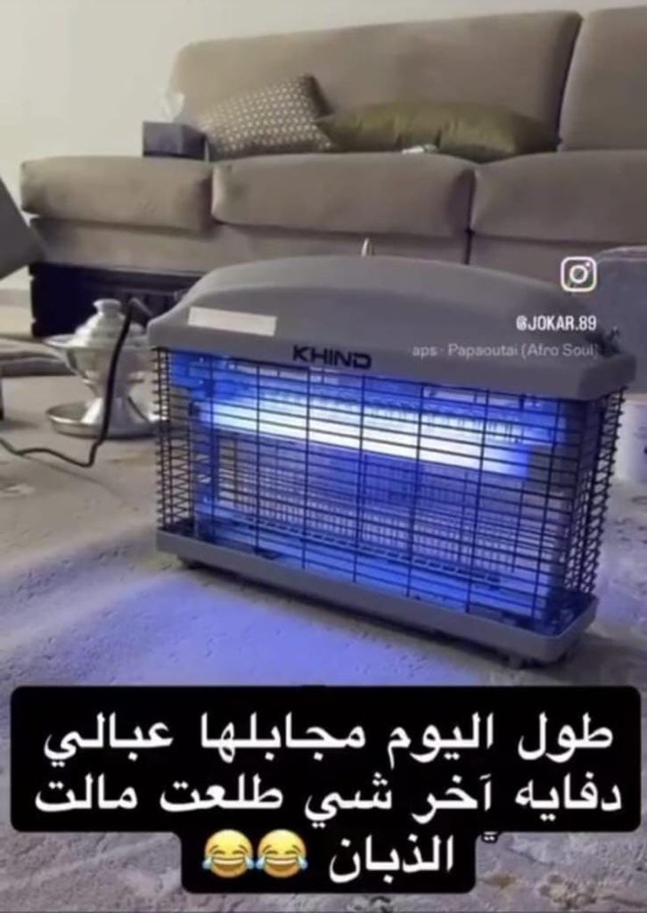 Protector_Diar's tweet image. طول اليوم مجابلها عبالي دفايه وآخر شي طلعت مالت الذبان 😂😂😂😂

 #صافرات_الانذار
#المتقاعدين
#سحب_الجناسي