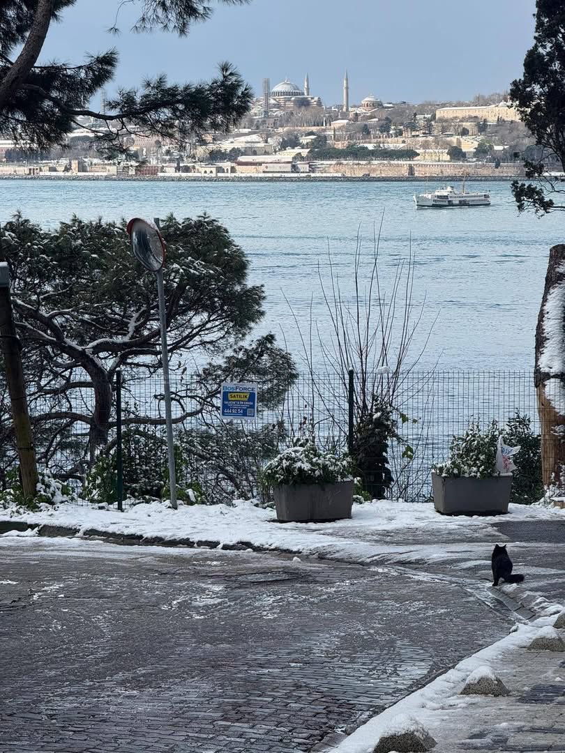 task_kutlay's tweet image. Sabah sabah😂🥳