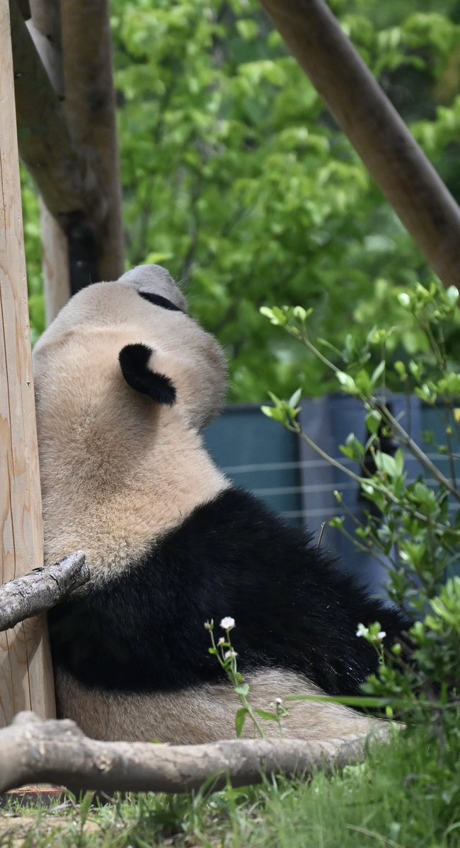 この匂い
このお空
みんなの声
忘れないよ