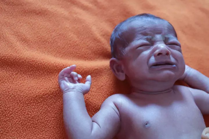 Dr Abdul Hameed 🩺 tweet media