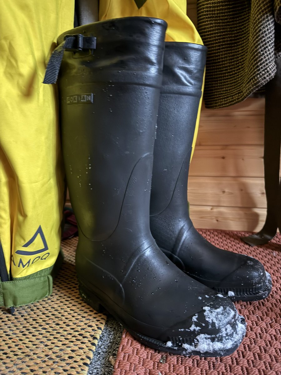 Rubman84 tweet media