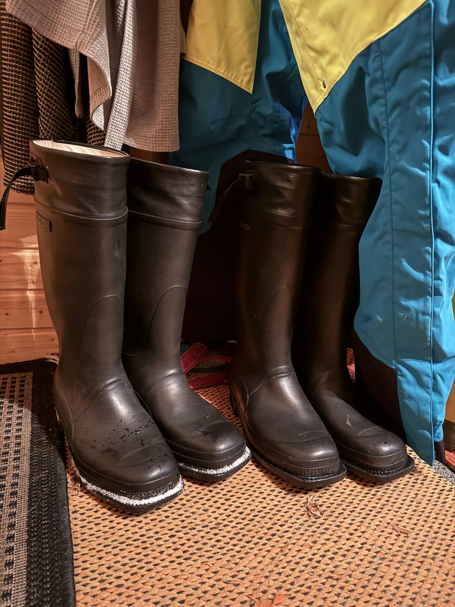 Rubman84 tweet media