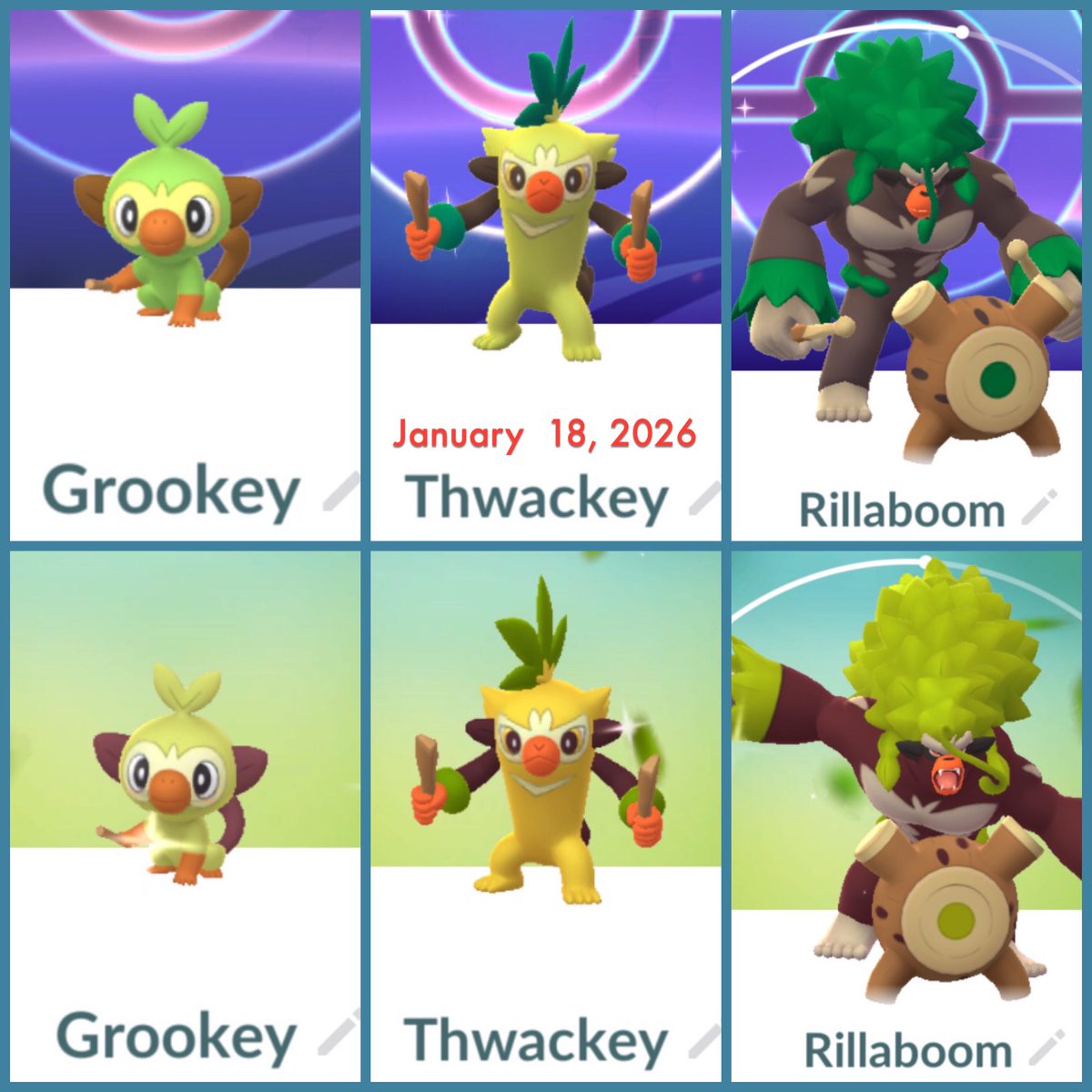 pink_puffin's tweet image. The first community day of the year was a lot of fun. Hope it was a shiny day for you too. #Grookey #ShinyGrookey #Thwackey #ShinyThwackey #Rillaboom #ShinyRillaboom #PokemonGo #PokemonGoCommunityDay #January2026
