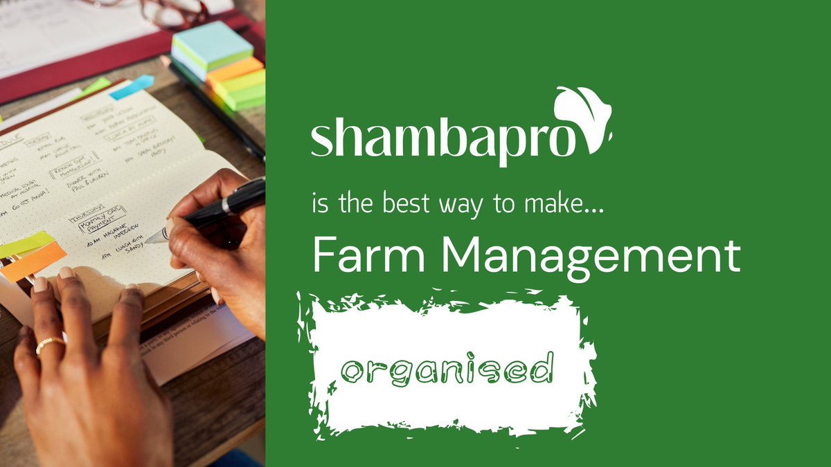 Shambapro tweet media