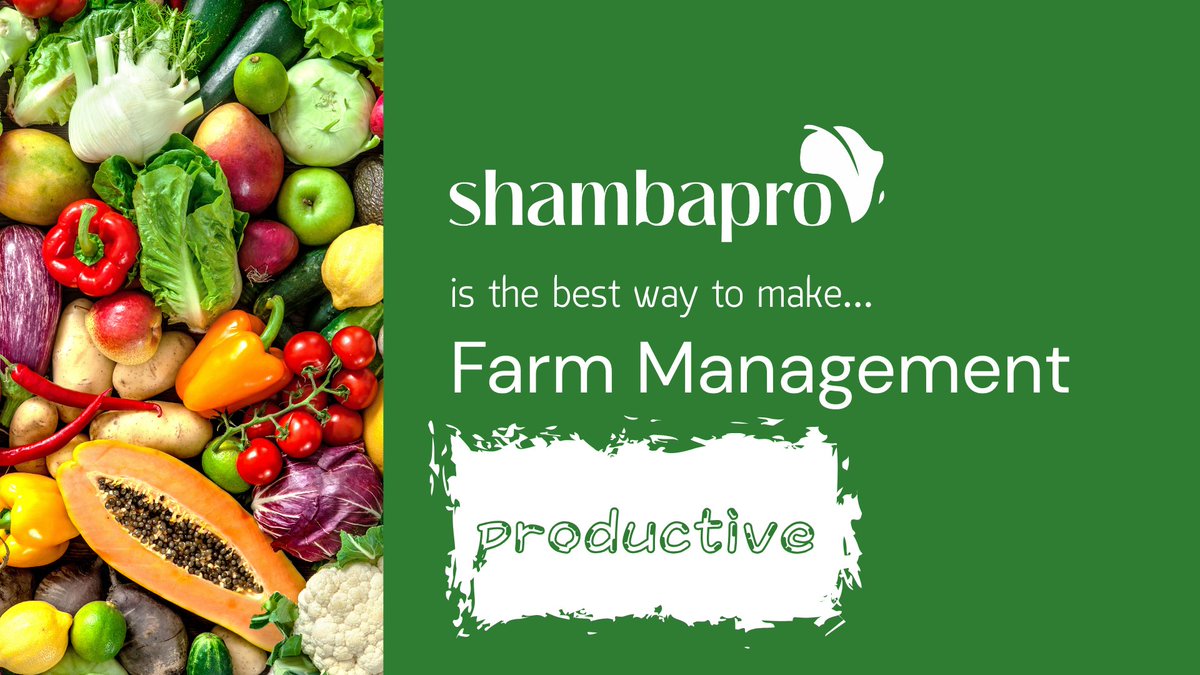 Shambapro tweet media