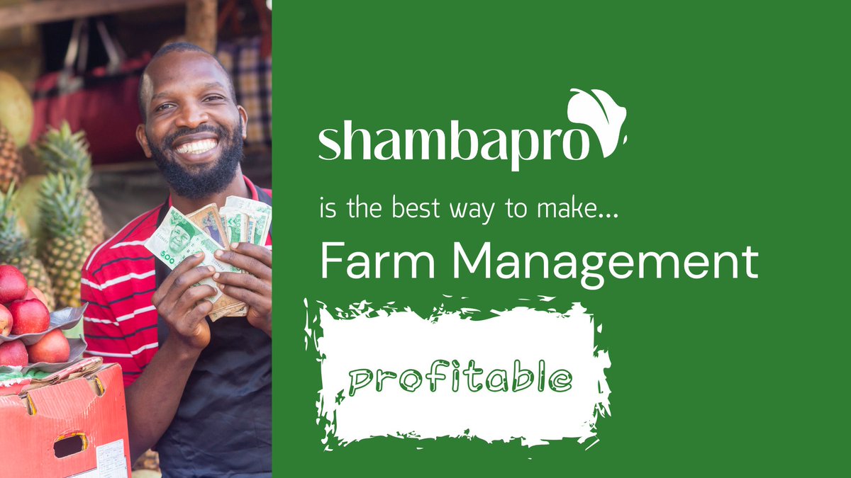 Shambapro tweet media