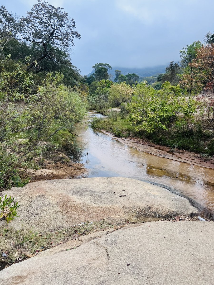 <a href="/chartersights/">Charter Sights 🌺☀️</a> <a href="/ZtaUpdates/">Zimbabwe Tourism Authority</a>