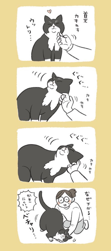 ふじもりはる🎄バナクロチャ tweet media