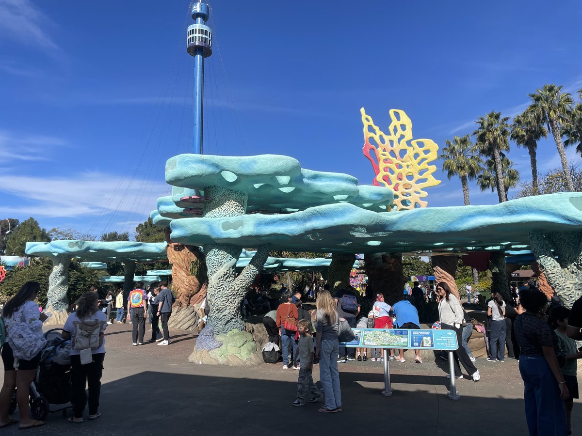 sameko71's tweet image. シーワールドサンディエゴに行った
遊園地の中に飼育施設がちらほらあるって感じで無理して例えたらドデカ越〇水族館🐬
水槽探すのが大変なんだけど、いきものみる時間の間が空いてもそこらじゅうに生物モチーフのアトラクションや飲食店でずっと目が楽しく、エンタメ感はすさまじかったです