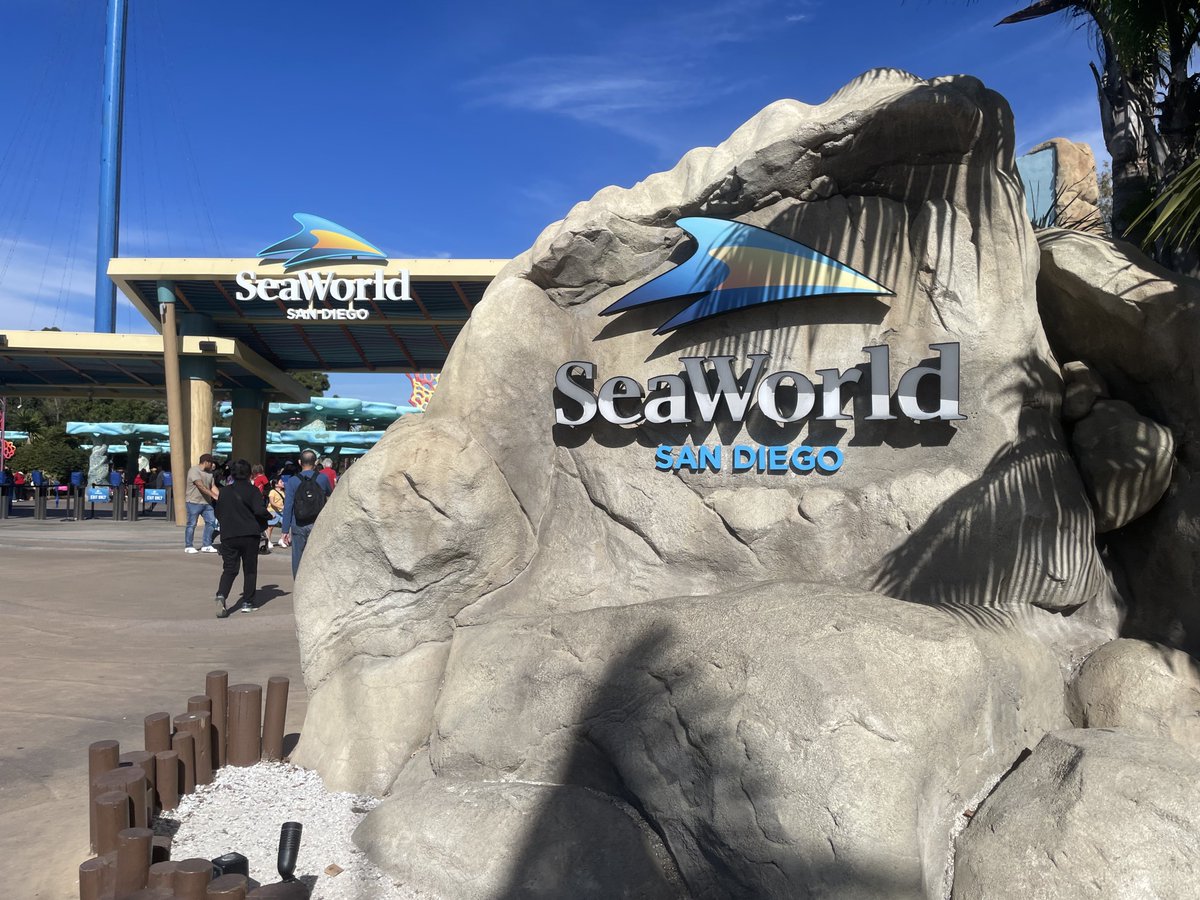 sameko71's tweet image. シーワールドサンディエゴに行った
遊園地の中に飼育施設がちらほらあるって感じで無理して例えたらドデカ越〇水族館🐬
水槽探すのが大変なんだけど、いきものみる時間の間が空いてもそこらじゅうに生物モチーフのアトラクションや飲食店でずっと目が楽しく、エンタメ感はすさまじかったです