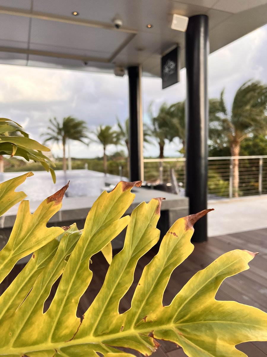 Open 16:45〜26:00
お待ちしております☺️