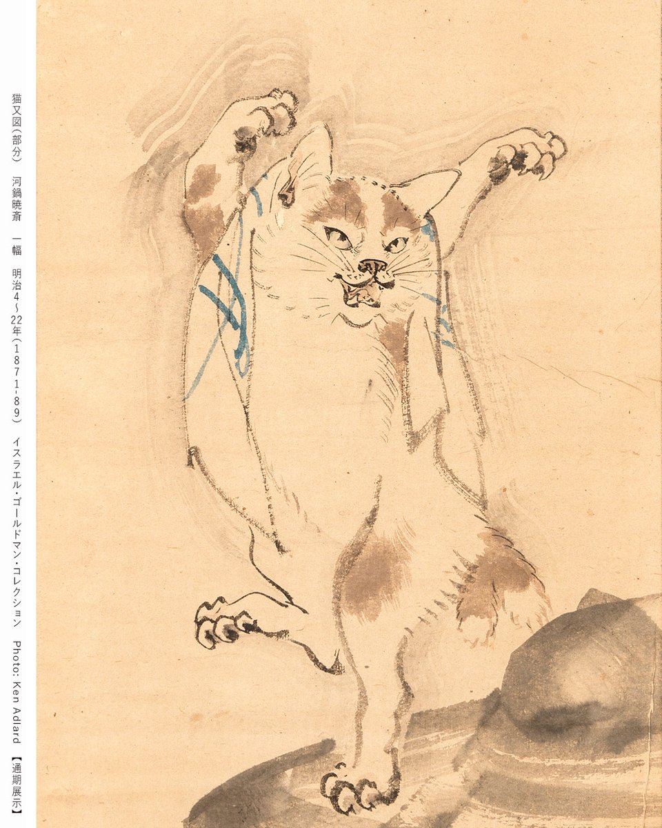 ねむねこページ ねむねこ (@nemuneko3_3) / Posts / X