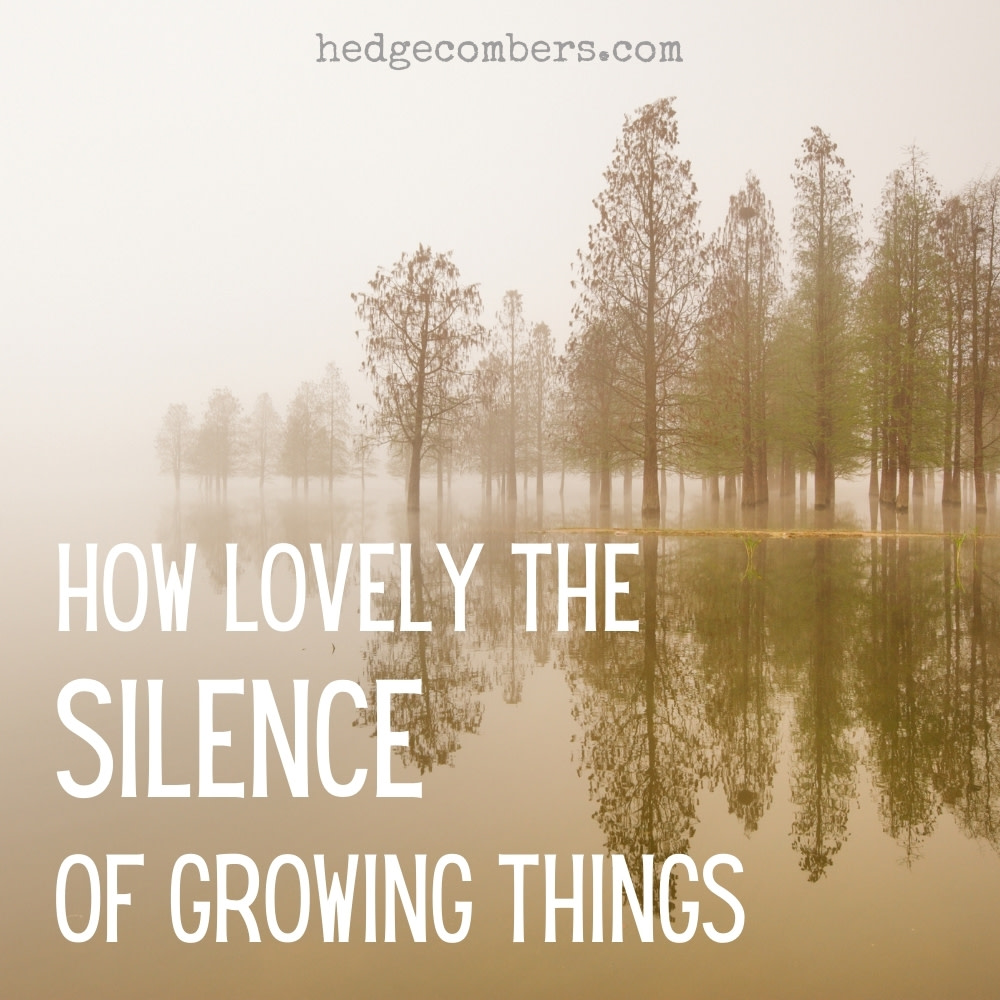 Jane 'Hedgecomber' Sarchet tweet media