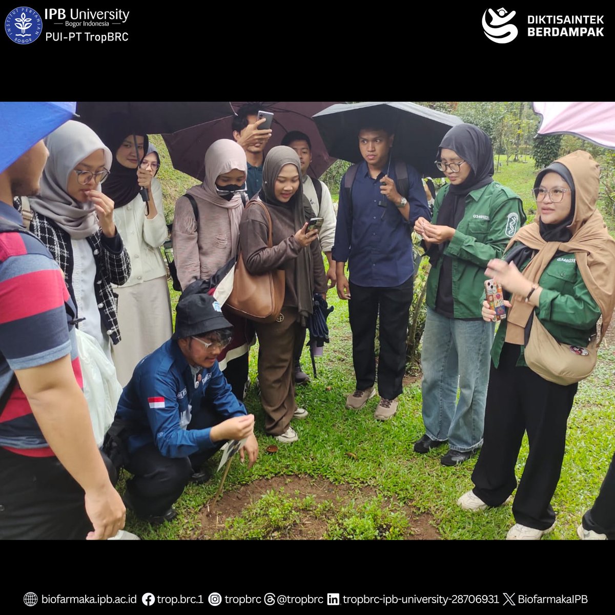 TropBRC IPB tweet media