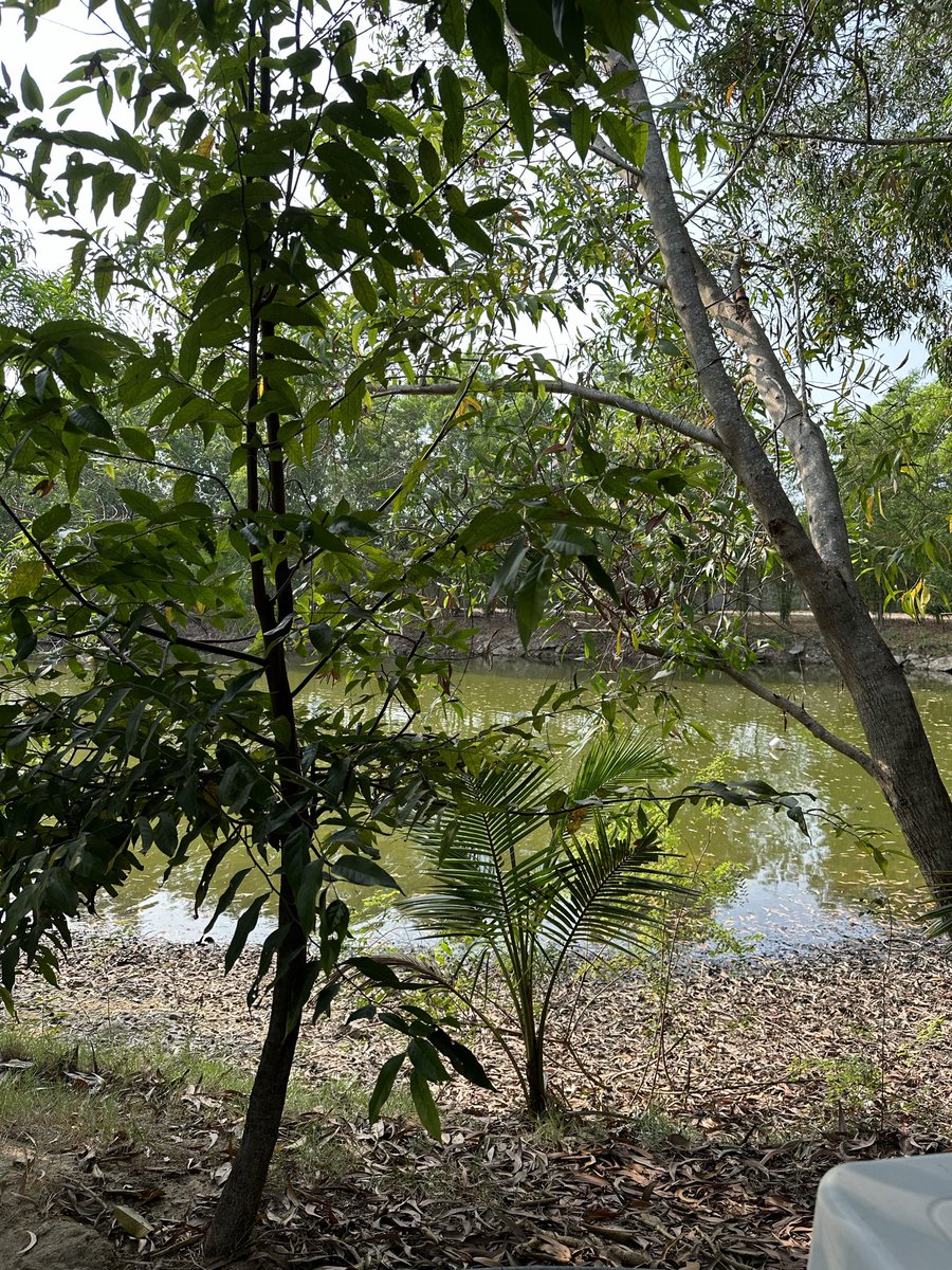 ธรรมชาติบำบัด Naturist