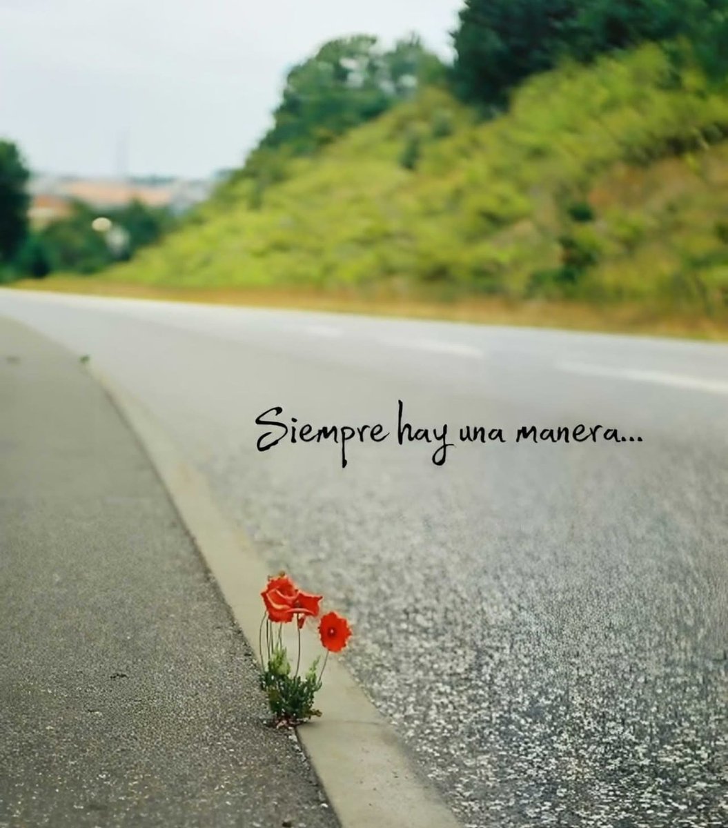 RedOneNext's tweet image. #R3D

La vida siempre te abre a un mundo de oportunidades infinitas... Solo es cuestión de abrir los ojos y enfocar tu energía a aquello por lo cual vale la pena entregarse.