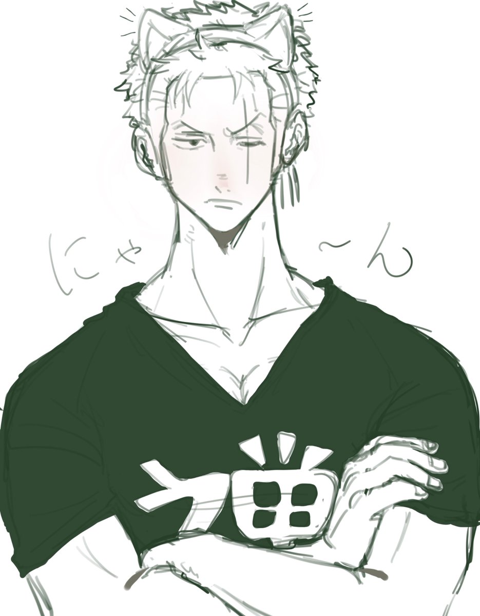 猫耳ゾ

衝動描きなので汚いです🙏