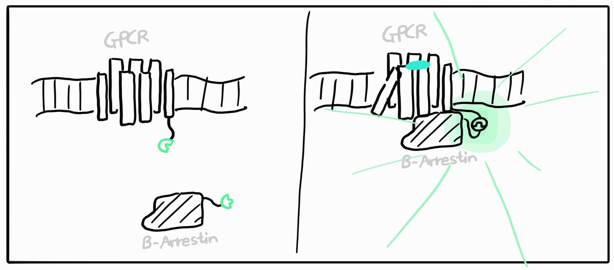 venfy / 벤피 tweet media