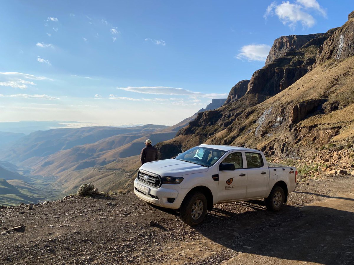 WildlifeACT tweet media