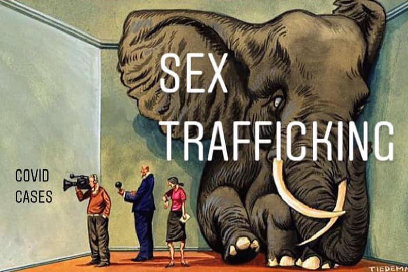 rabbitholebot's tweet image. 