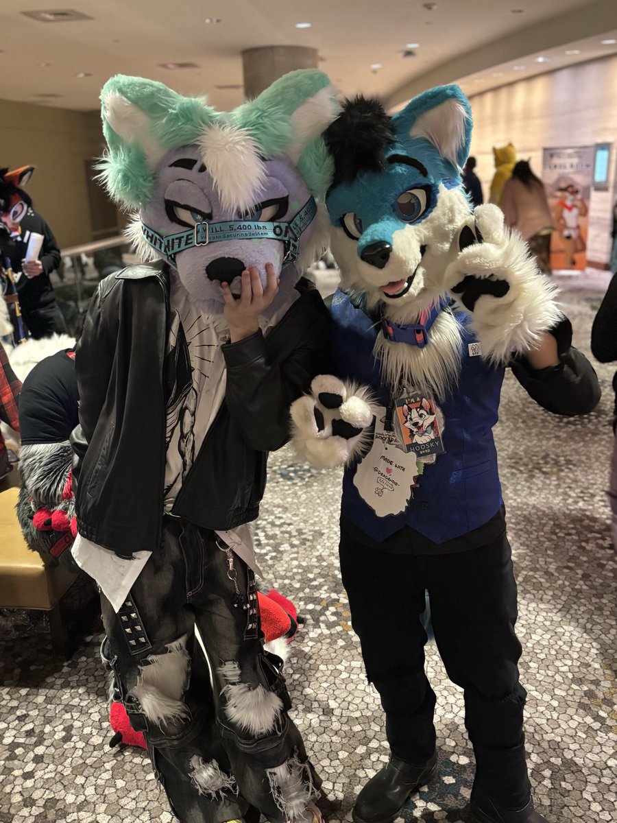 ARF!!! TOTALLY MET💯 <a href="/y1ffox/">yiffox</a>