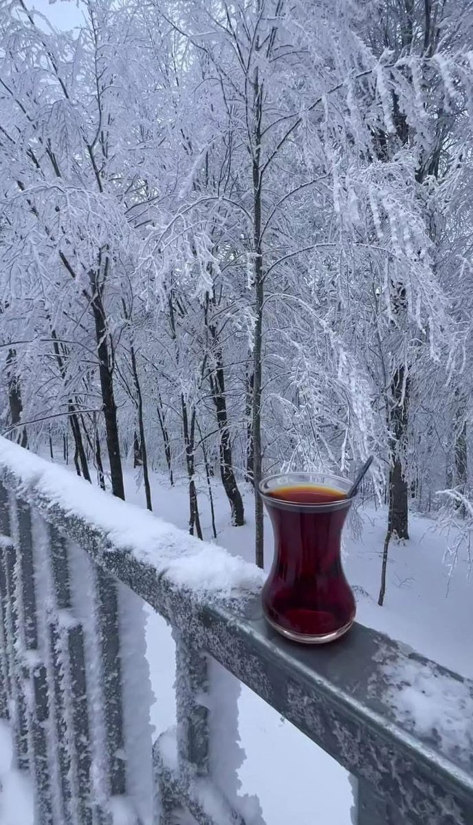 Nasip,
İsteğin gücüne değił,
Taşıyabileceğin hale bakar…

Ve sana ait olan,
Seni yormadan bulur…

Yormuşsa...
henüz vakti değildir.

"Nasip kaçmaz, sadece zamanını bekler."

#YeniHafta ya kısmet…