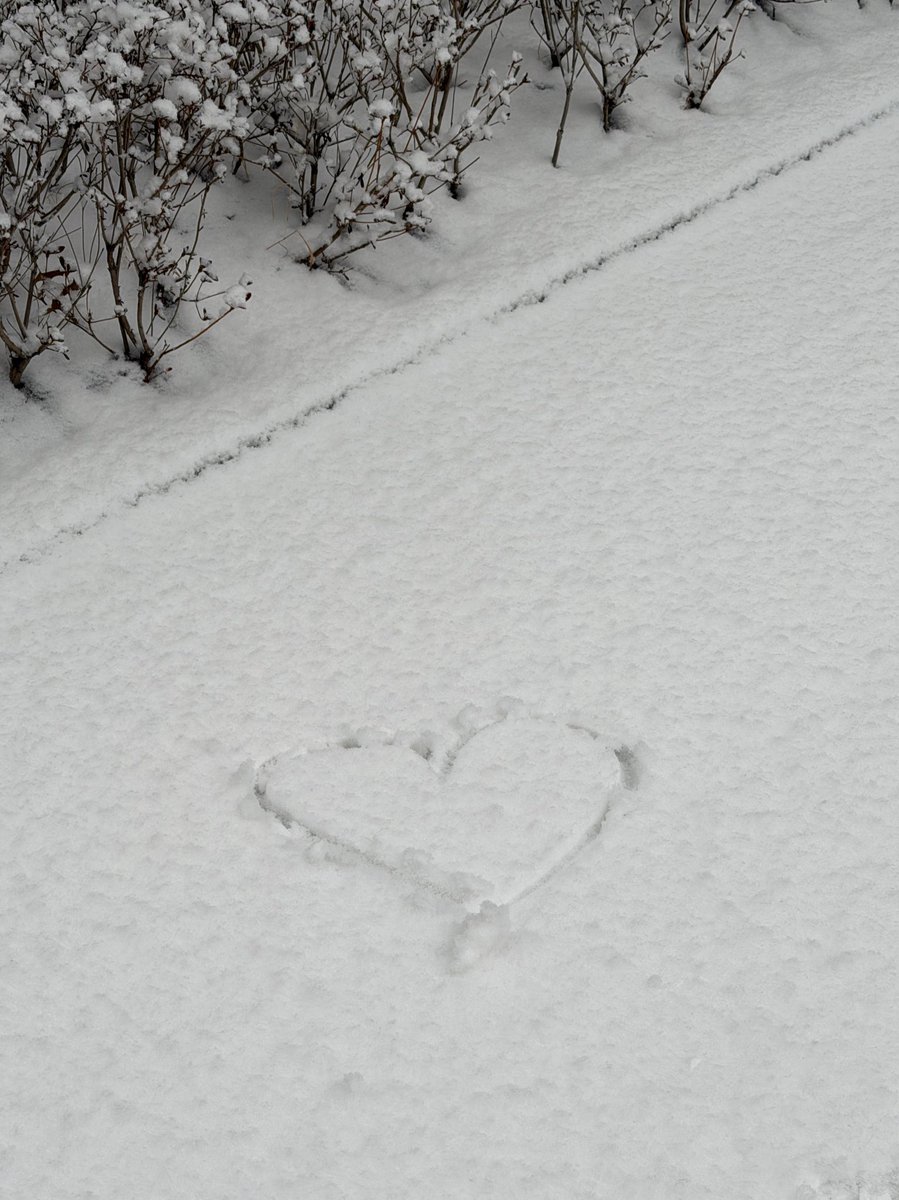 irewe_'s tweet photo. 눈 너무 좋앙 ❄️💙 https://t.co/72qzSTuh22