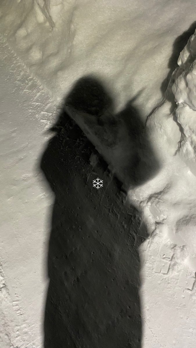 なんとか東京のお家に帰ってこれた✈️
たくさん飲んで食べて楽しかった3泊4日！！
ありがとう札幌！ありがとうALGS！また来るねー！！！

今日はネッコとゆっくり過ごそ🐈🩵