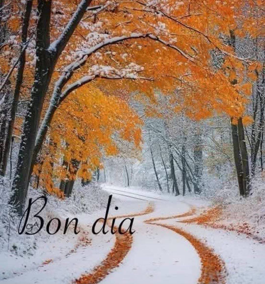 Antoni Walter Castelló i Klein (@antoni_klein) on Twitter photo 