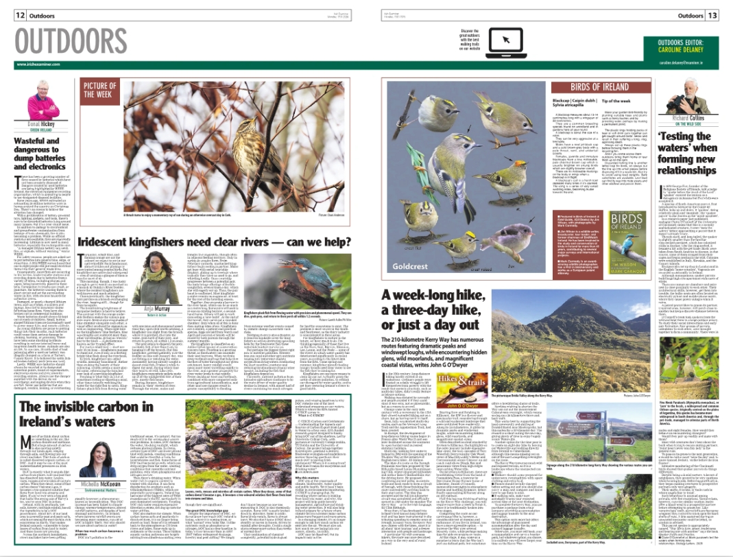 Caroline Delaney tweet media