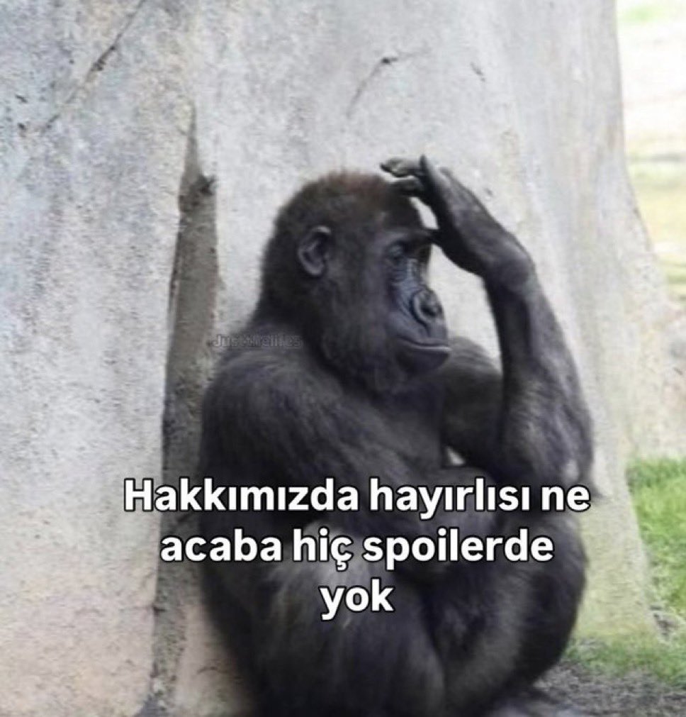 Ufuk (@yabirgel) on Twitter photo 