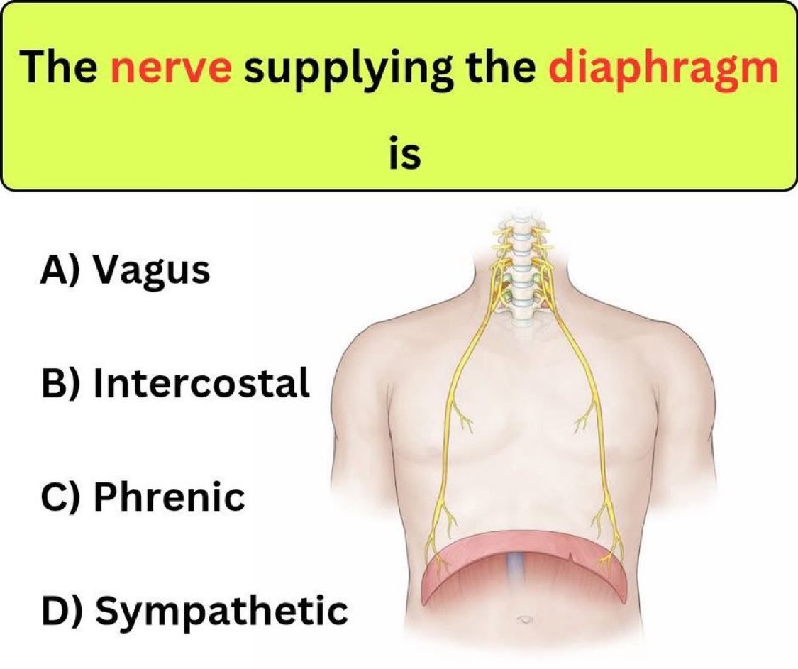 Dr. Medica🩺 tweet media
