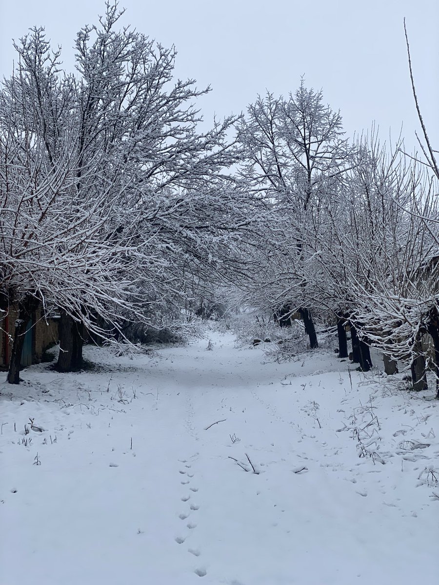The quiet beauty of winter —
#Bulgaria ❄️❄️❄️