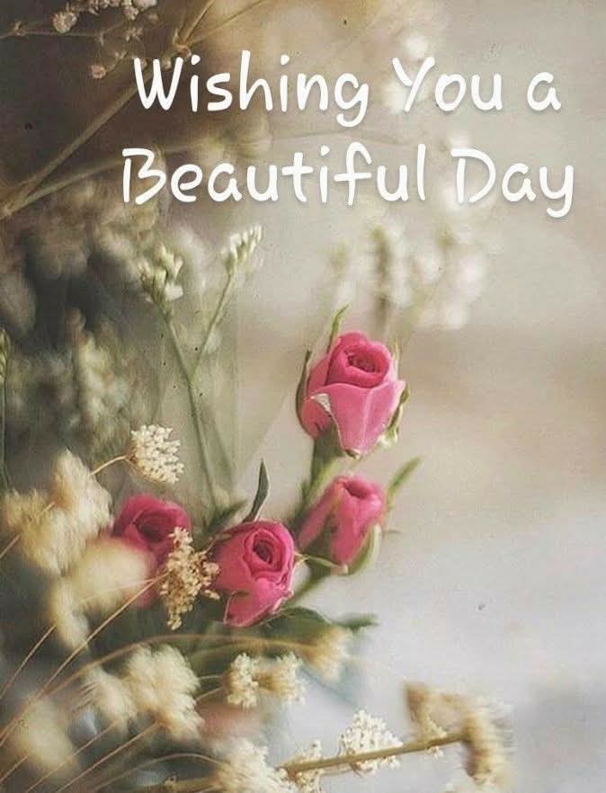 44down's tweet image. 