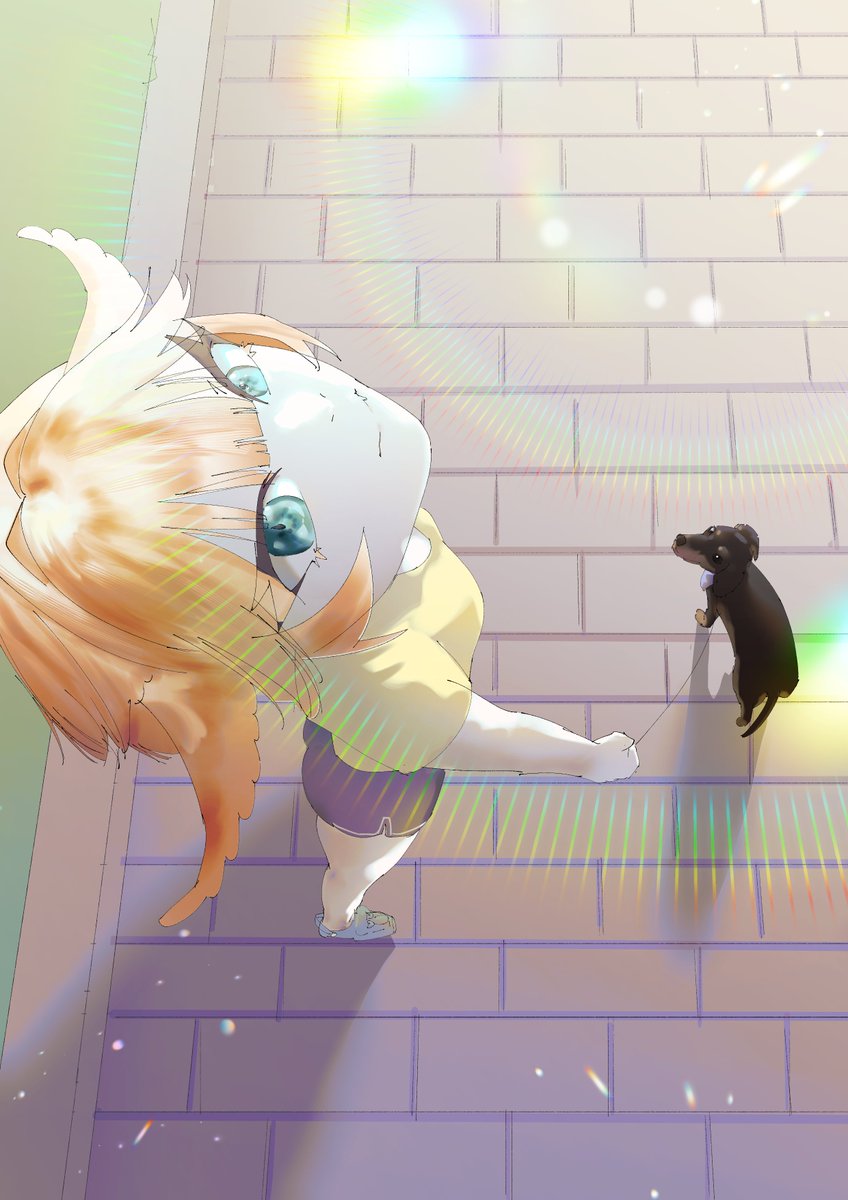 Nandeded's tweet photo. ✨dokiWalk✨

 #DokiGallery https://t.co/NHOmtitAYR