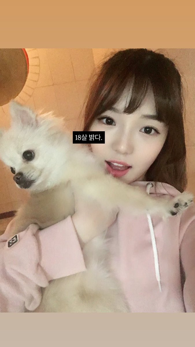 DC_Jisungall's tweet photo. 💛260119 지선이 인스타 스토리💛

rosieline_

#노지선 #지선 #RohJisun #JiSun https://t.co/NV34OKmooJ