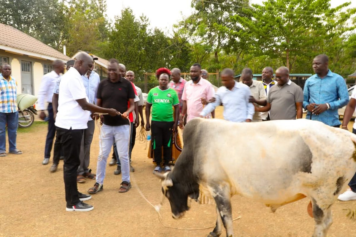 amugosiya's tweet photo. Today, I had the honor of making a humble donation of a bull to the family of the late Bramwel Eshepet in Machakusi, Teso South Subcounty. This gesture is a small token of appreciation for his immense contribution to our community, particularly his dedication to education and the promotion of unity among our people.
As a devoted father to Engineer Vincent Sidai, he nurtured not only his family but also inspired many within the wider community through his values and example. As we mourn his passing, we stand with his family in prayer, asking God to grant them strength, comfort, and peace during this difficult time.
May his soul rest in eternal peace.