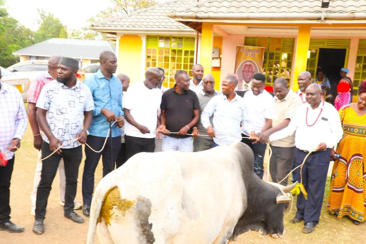 amugosiya's tweet photo. Today, I had the honor of making a humble donation of a bull to the family of the late Bramwel Eshepet in Machakusi, Teso South Subcounty. This gesture is a small token of appreciation for his immense contribution to our community, particularly his dedication to education and the promotion of unity among our people.
As a devoted father to Engineer Vincent Sidai, he nurtured not only his family but also inspired many within the wider community through his values and example. As we mourn his passing, we stand with his family in prayer, asking God to grant them strength, comfort, and peace during this difficult time.
May his soul rest in eternal peace.