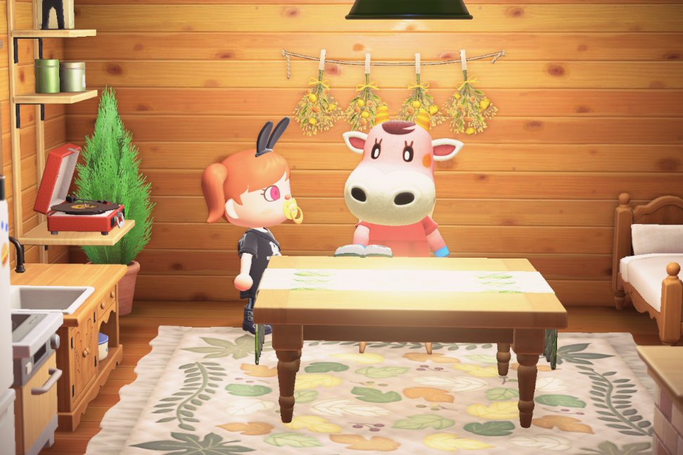 できることがあんまりないので押し入れの中で寝転がりながらあつ森をし