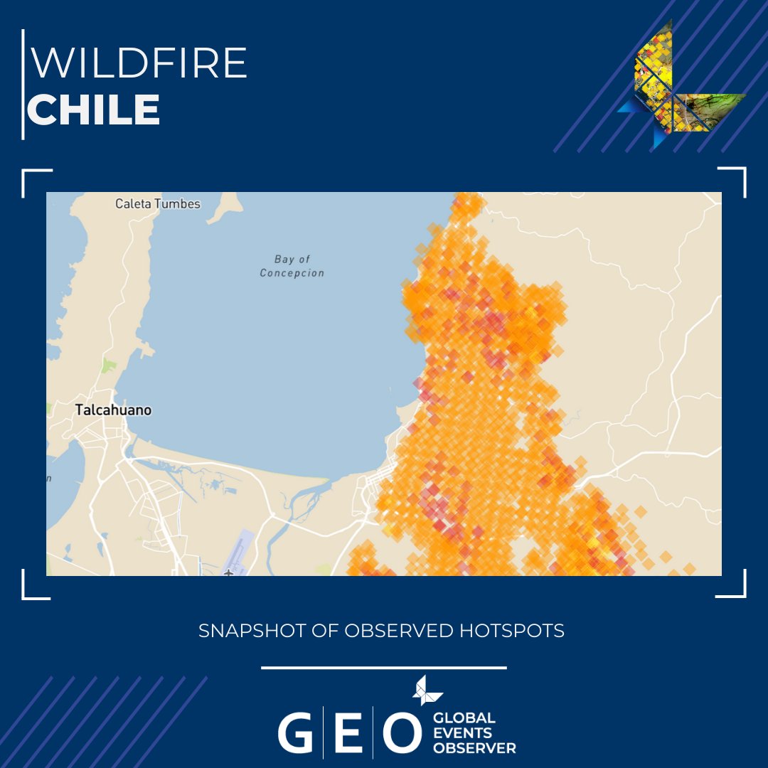 McKenzie Intelligence Services (MIS) tweet media