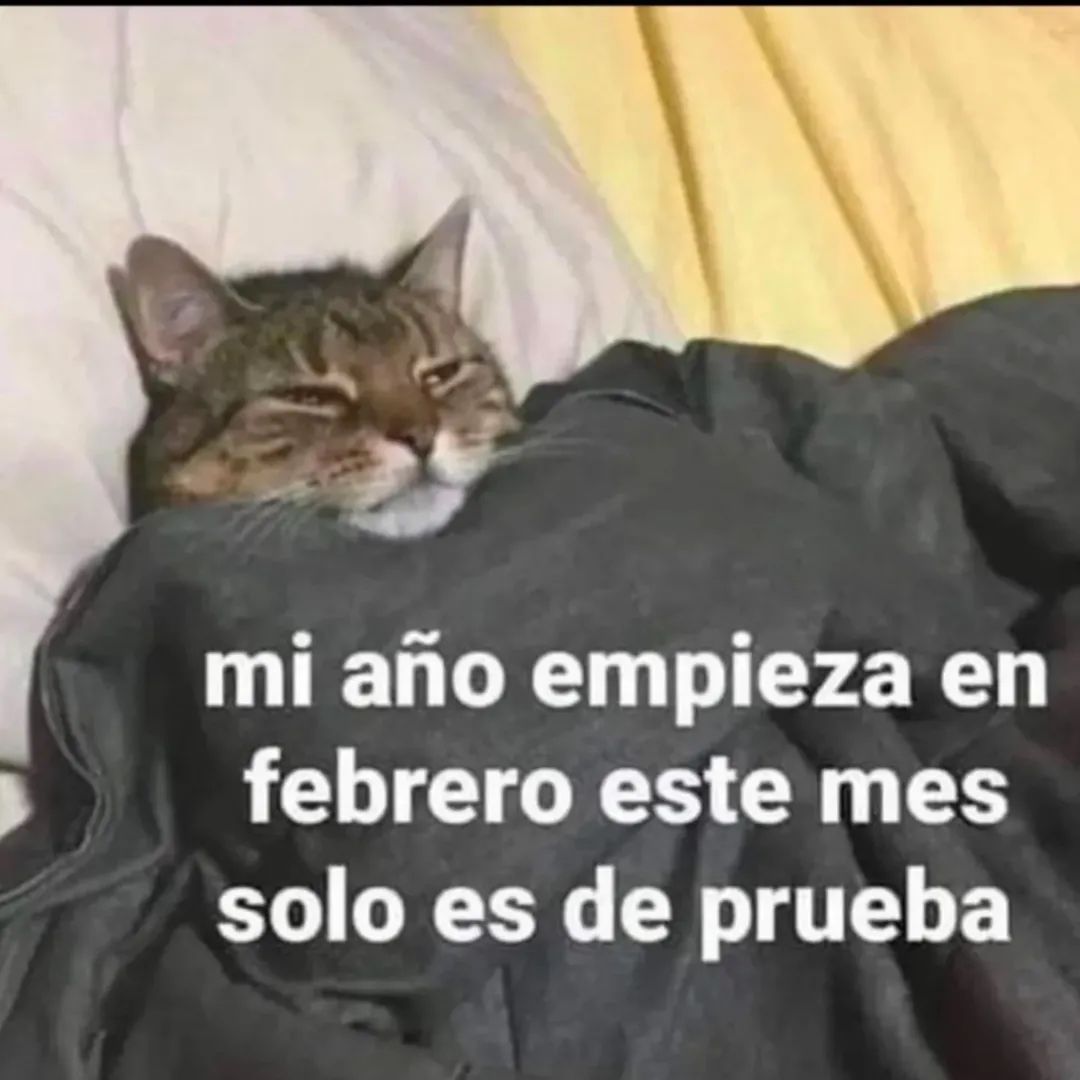 nxstypxet's tweet image. 