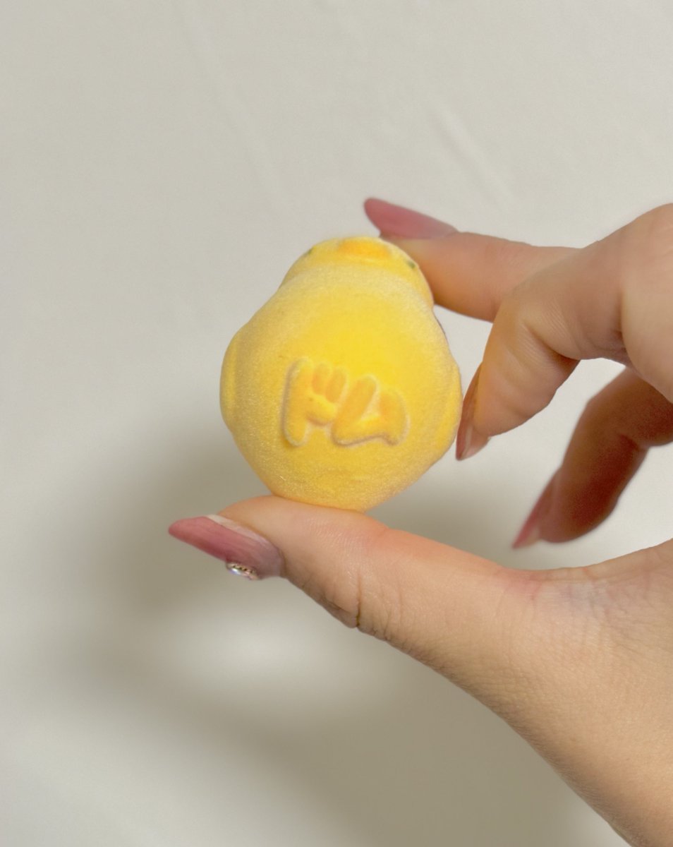 最近でいちばん良かった買い物。ドムドムバーガーのひよこ。足の形がドムなんて誰が想像出来るんだ。