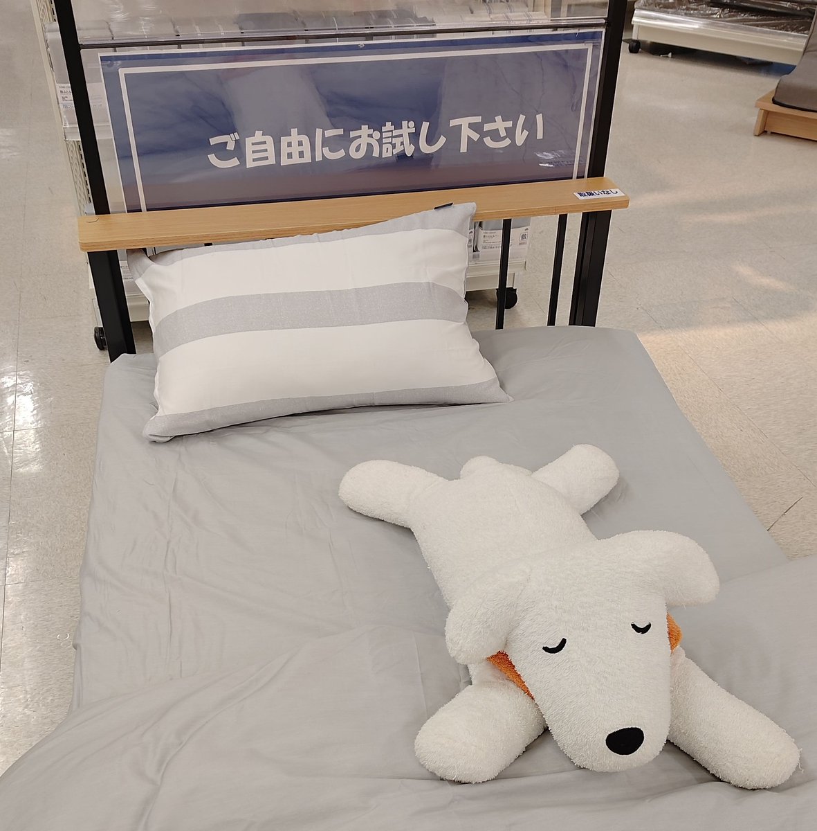 もななん (@dot_nitrog) / Posts / X