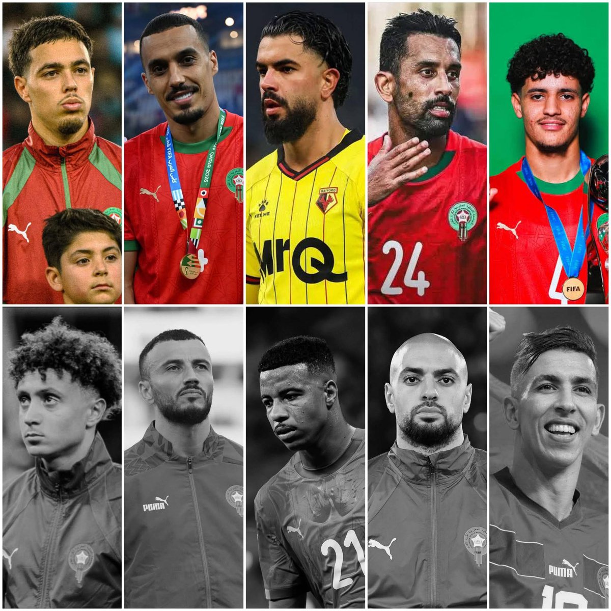 𝗭𝗮𝗵𝗿𝗶 𓃵 tweet media