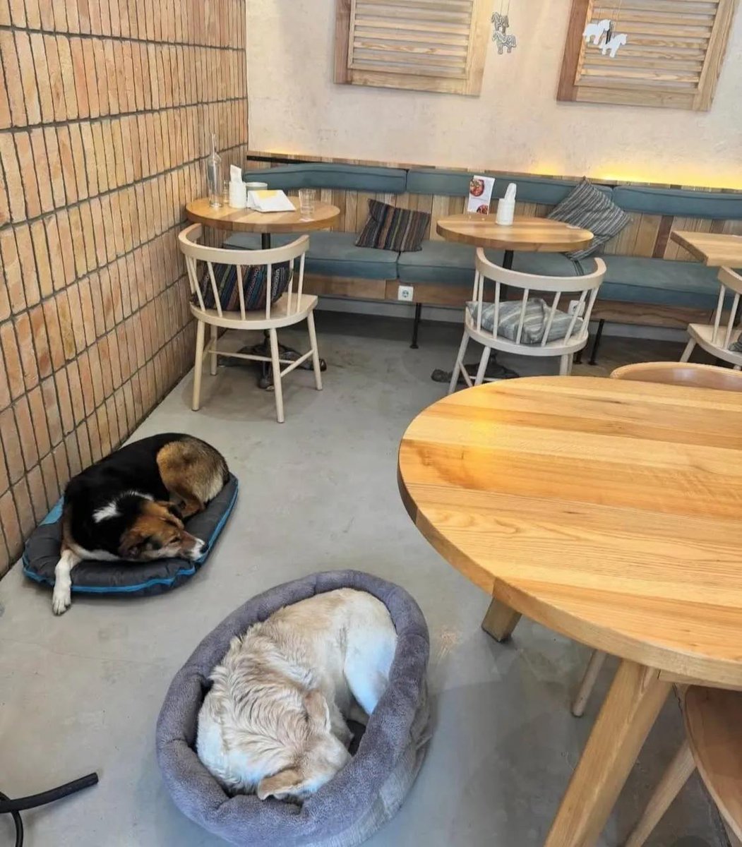 𝐃𝐢𝐝𝐞𝐦 tweet media