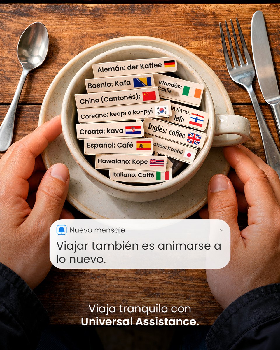 Universal Assistance tweet media