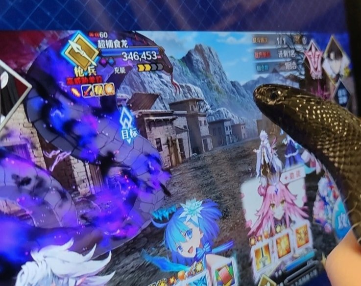 *我打蛇特异点？？
真的假的？🐍