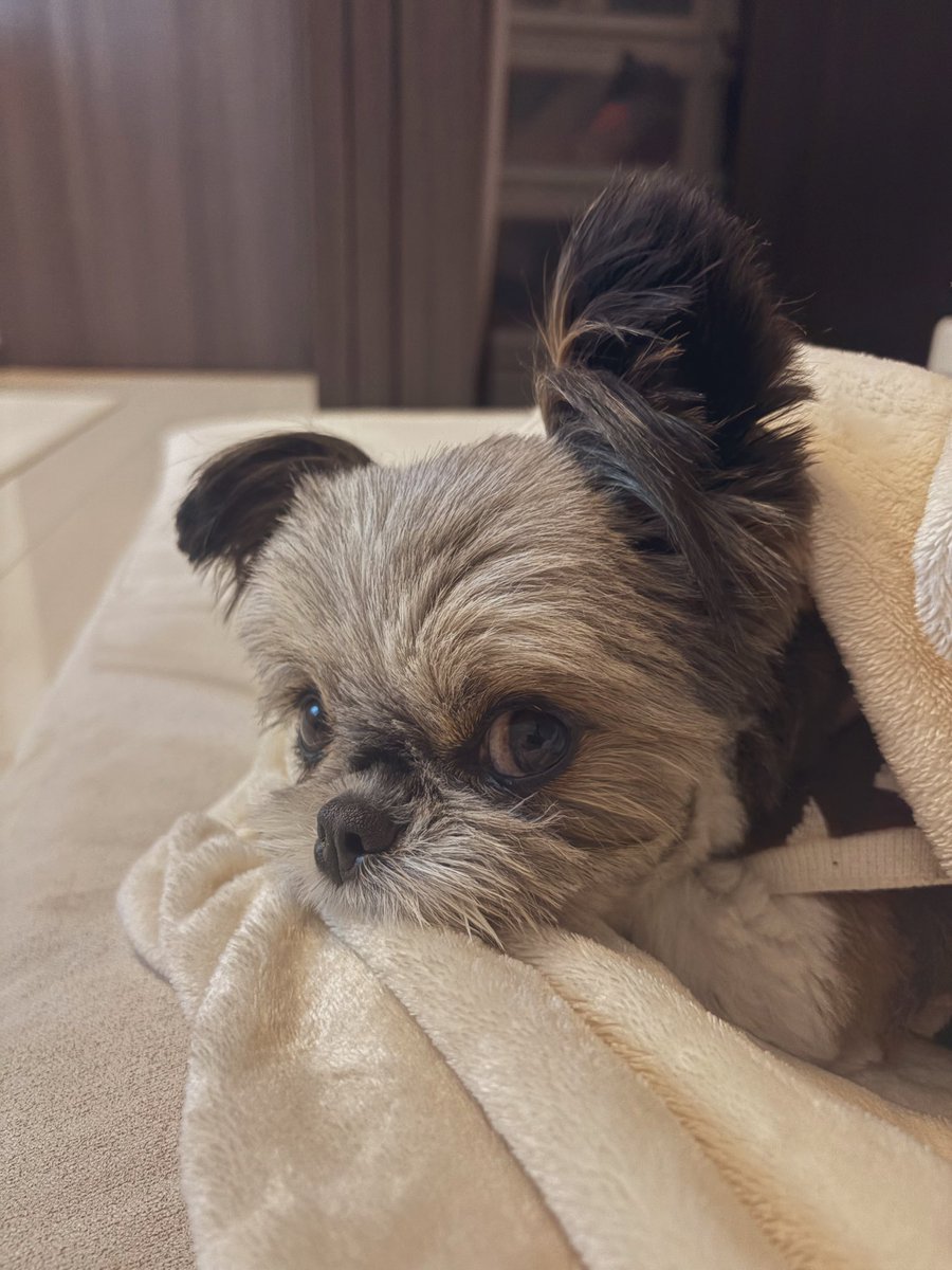 おやすみなさい